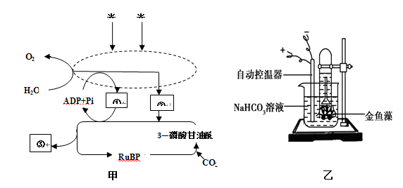 学科网(www.zxxk.com)--教育资源门户，提供试卷、教案、课件、论文、素材以及各类教学资源下载，还有大量而丰富的教学相关资讯！