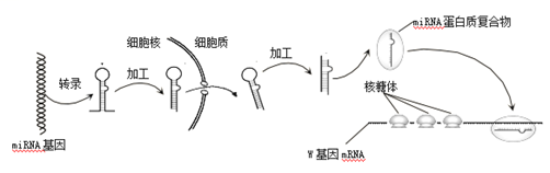 捕获