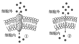 学科网(www.zxxk.com)--教育资源门户，提供试卷、教案、课件、论文、素材以及各类教学资源下载，还有大量而丰富的教学相关资讯！