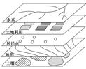 学科网(www.zxxk.com)--教育资源门户，提供试题试卷、教案、课件、教学论文、素材等各类教学资源库下载，还有大量丰富的教学资讯！