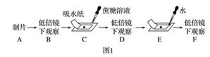 学科网(www.zxxk.com)--教育资源门户，提供试卷、教案、课件、论文、素材以及各类教学资源下载，还有大量而丰富的教学相关资讯！
