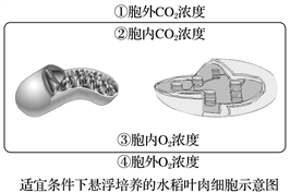 学科网(www.zxxk.com)--教育资源门户，提供试卷、教案、课件、论文、素材以及各类教学资源下载，还有大量而丰富的教学相关资讯！