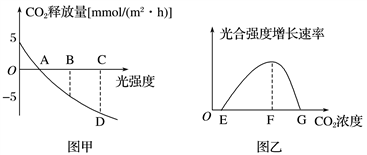 学科网(www.zxxk.com)--教育资源门户，提供试卷、教案、课件、论文、素材以及各类教学资源下载，还有大量而丰富的教学相关资讯！
