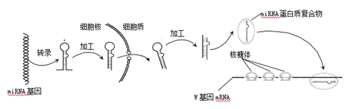 捕获