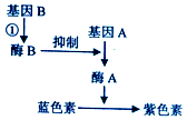 学科网(www.zxxk.com)--教育资源门户，提供试卷、教案、课件、论文、素材以及各类教学资源下载，还有大量而丰富的教学相关资讯！