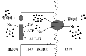 学科网(www.zxxk.com)--教育资源门户，提供试卷、教案、课件、论文、素材以及各类教学资源下载，还有大量而丰富的教学相关资讯！