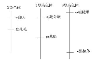 说明: 68-3