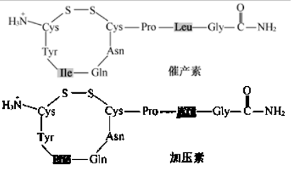 图片 1