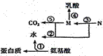 学科网(www.zxxk.com)--教育资源门户，提供试卷、教案、课件、论文、素材及各类教学资源下载，还有大量而丰富的教学相关资讯！