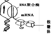 学科网(www.zxxk.com)--教育资源门户，提供试卷、教案、课件、论文、素材以及各类教学资源下载，还有大量而丰富的教学相关资讯！